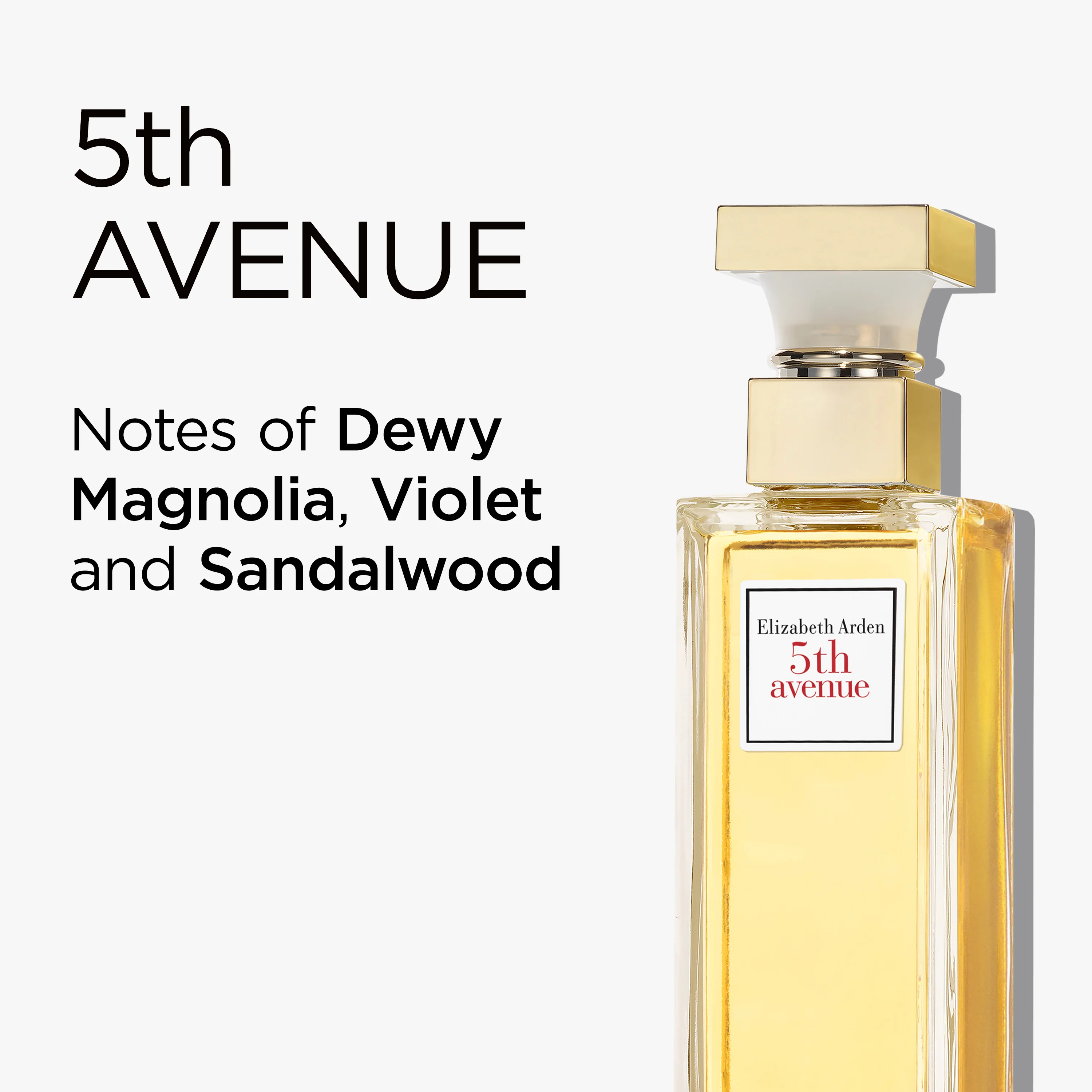 5th Avenue EDP 100ml Set - Image 3