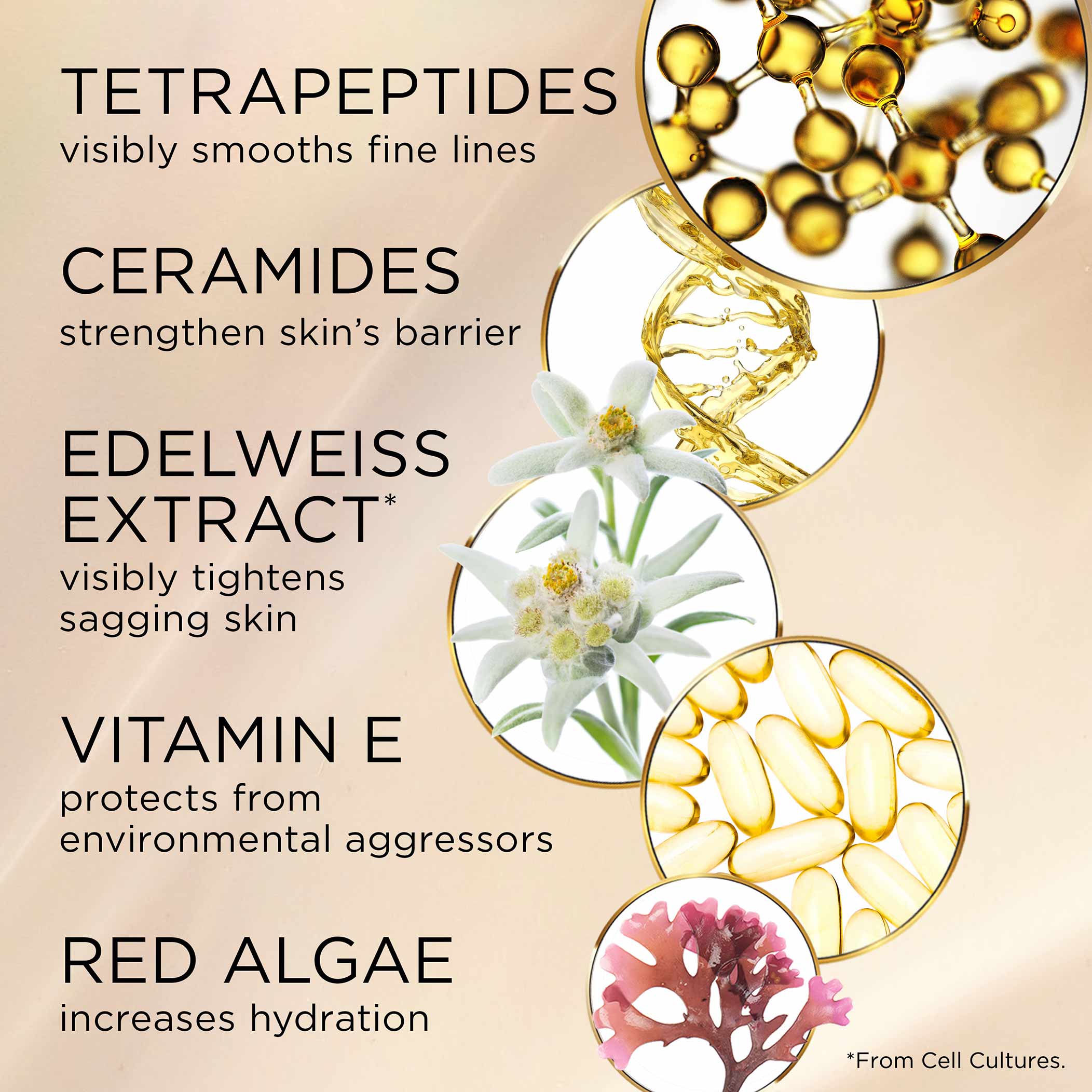Advanced Ceramide Lift and Firm Day Cream SPF15 - Image 5