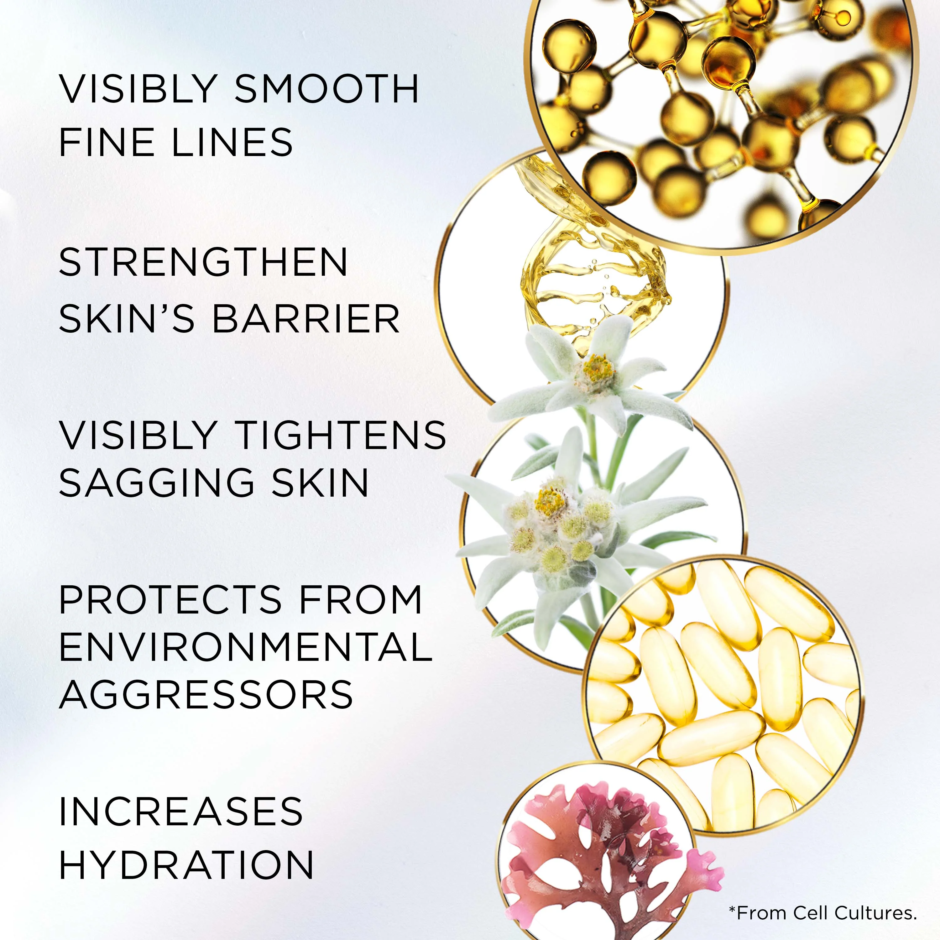 Advanced Ceramide Lift and Firm Night Cream - Image 6