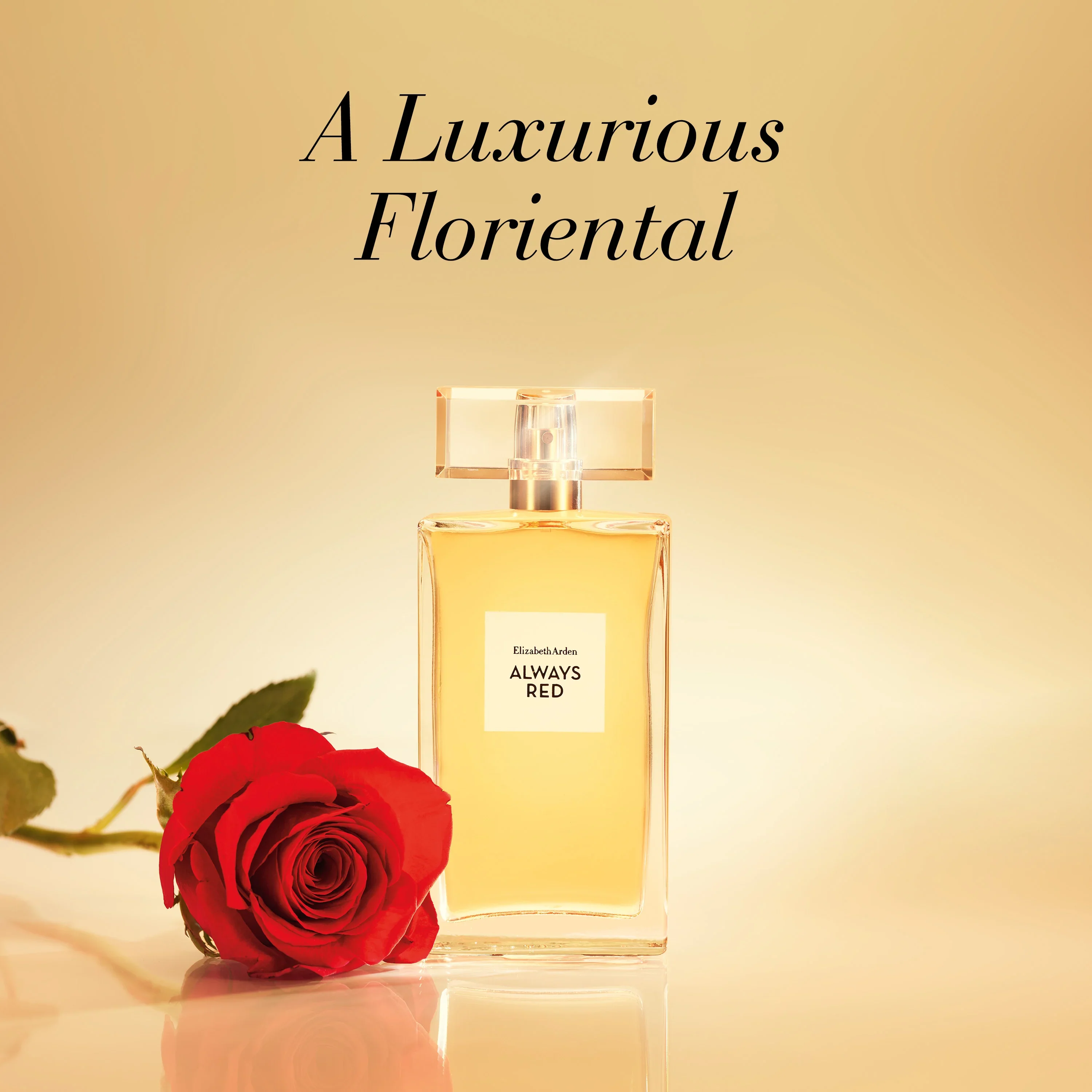 Always Red EDT 100ml - Image 4