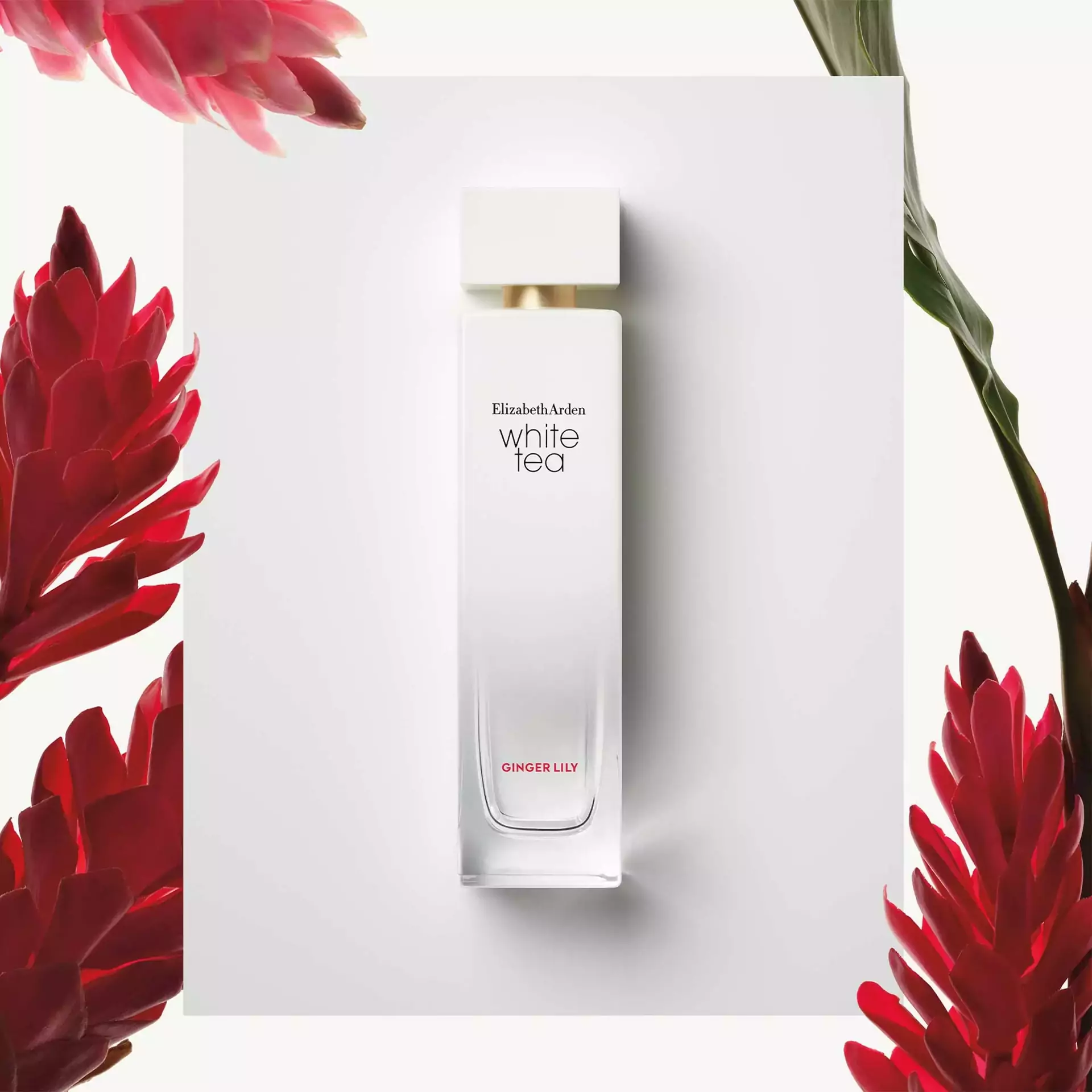 White Tea Ginger Lily Eau De Toilette Spray - Image 3