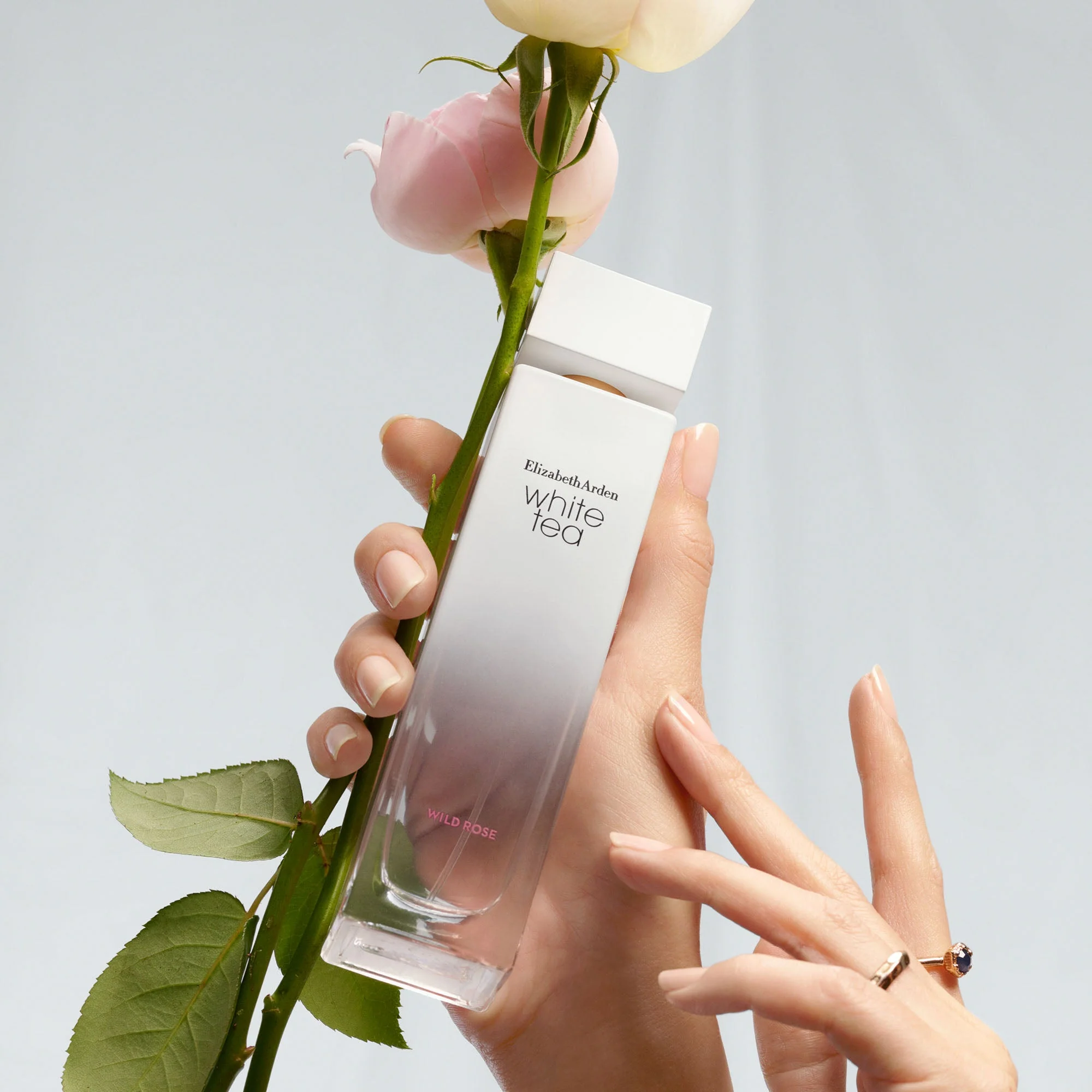 White Tea Wild Rose Eau De Toilette Spray - Image 4