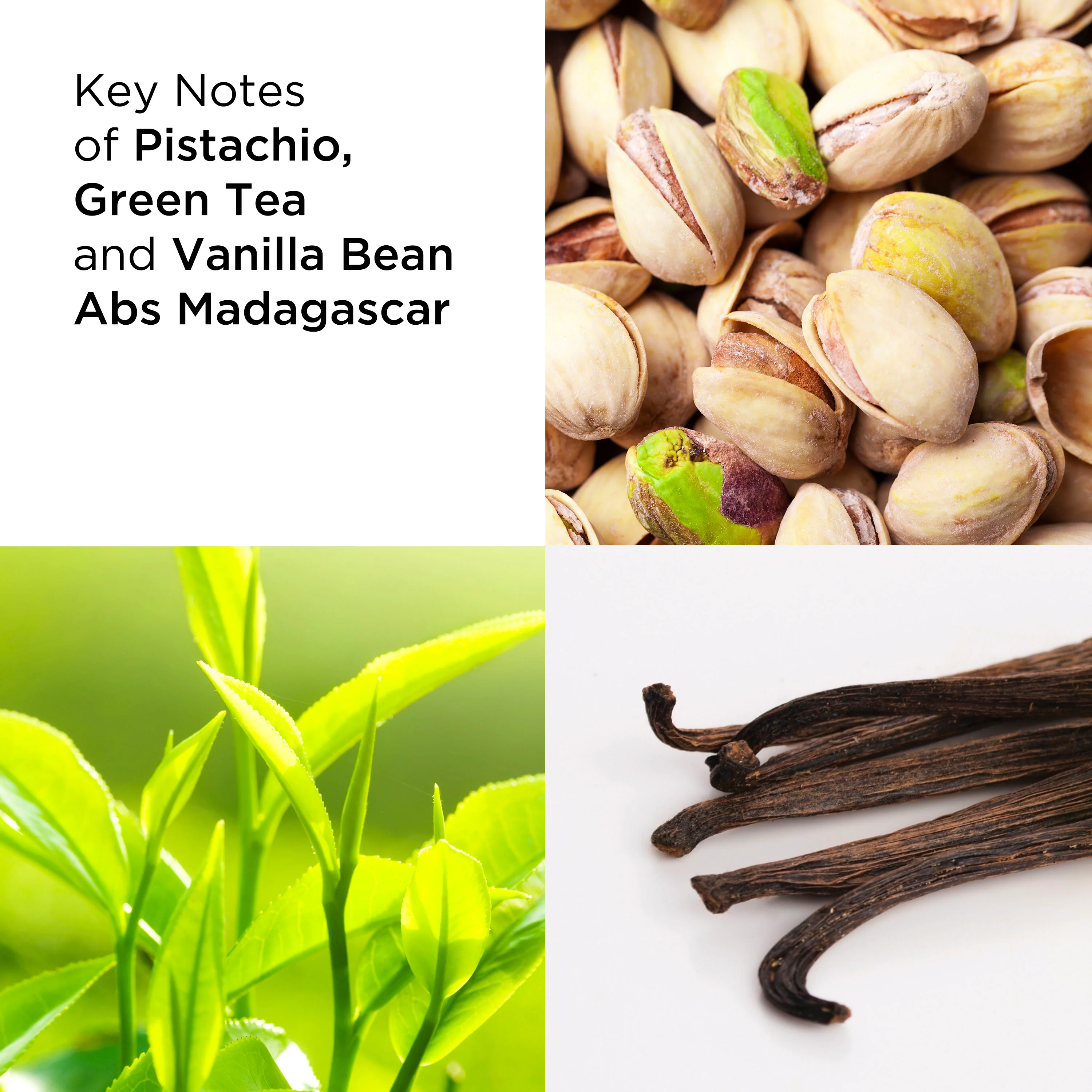 Green Tea Pistachio Crunch Eau de Toilette - Image 7