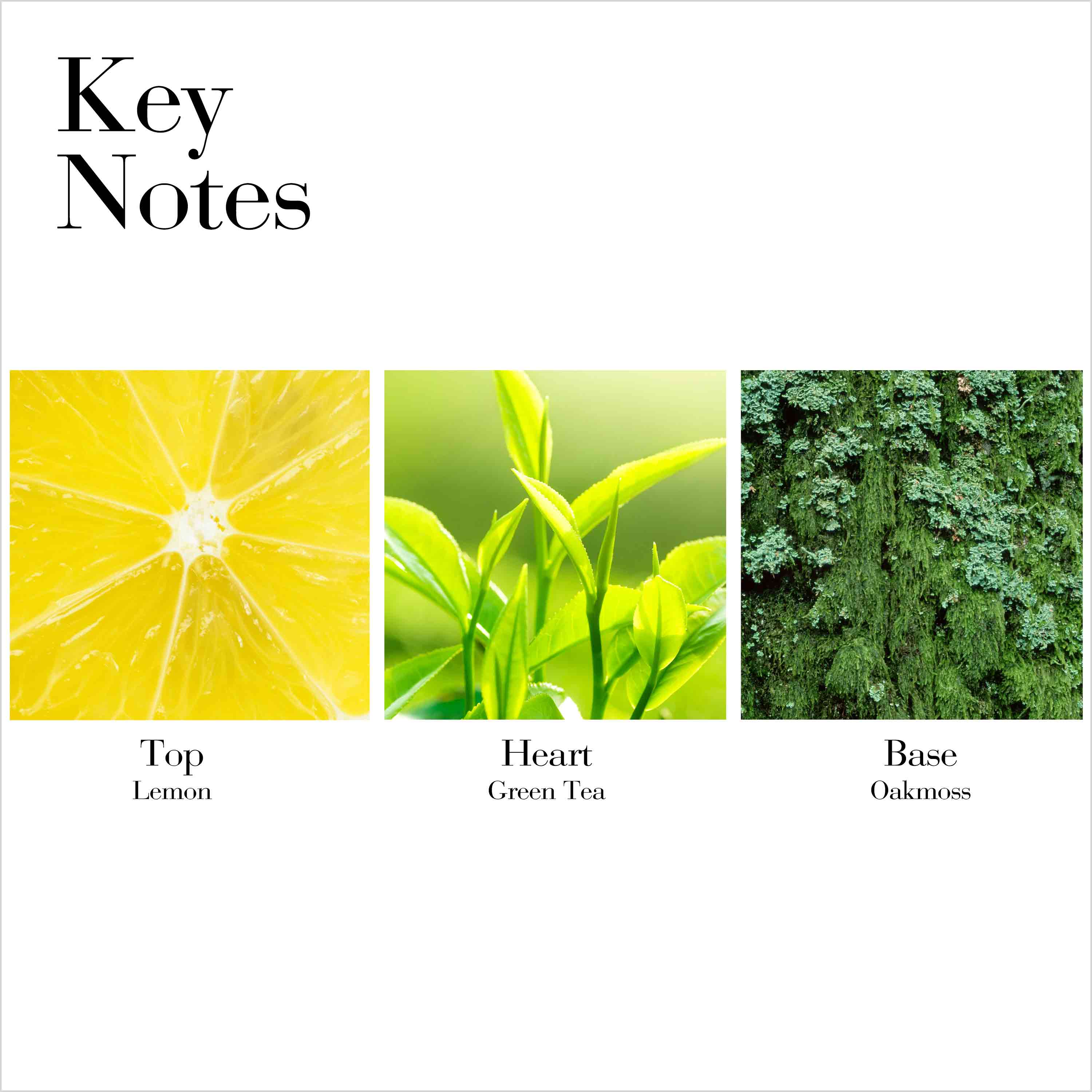 Green Tea Scent Spray - Image 4