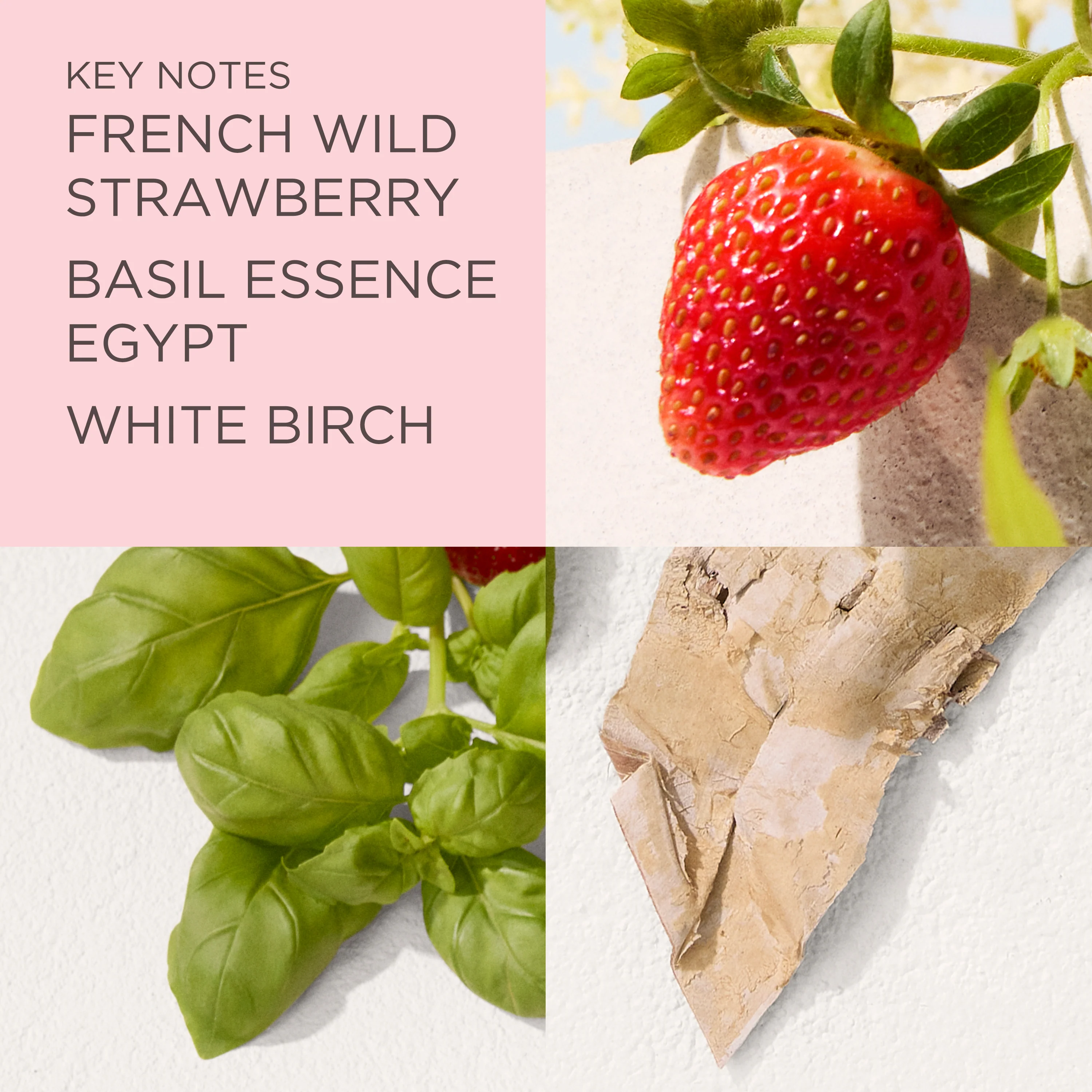 Green Tea Strawberry Basil Eau de Toilette - Image 4