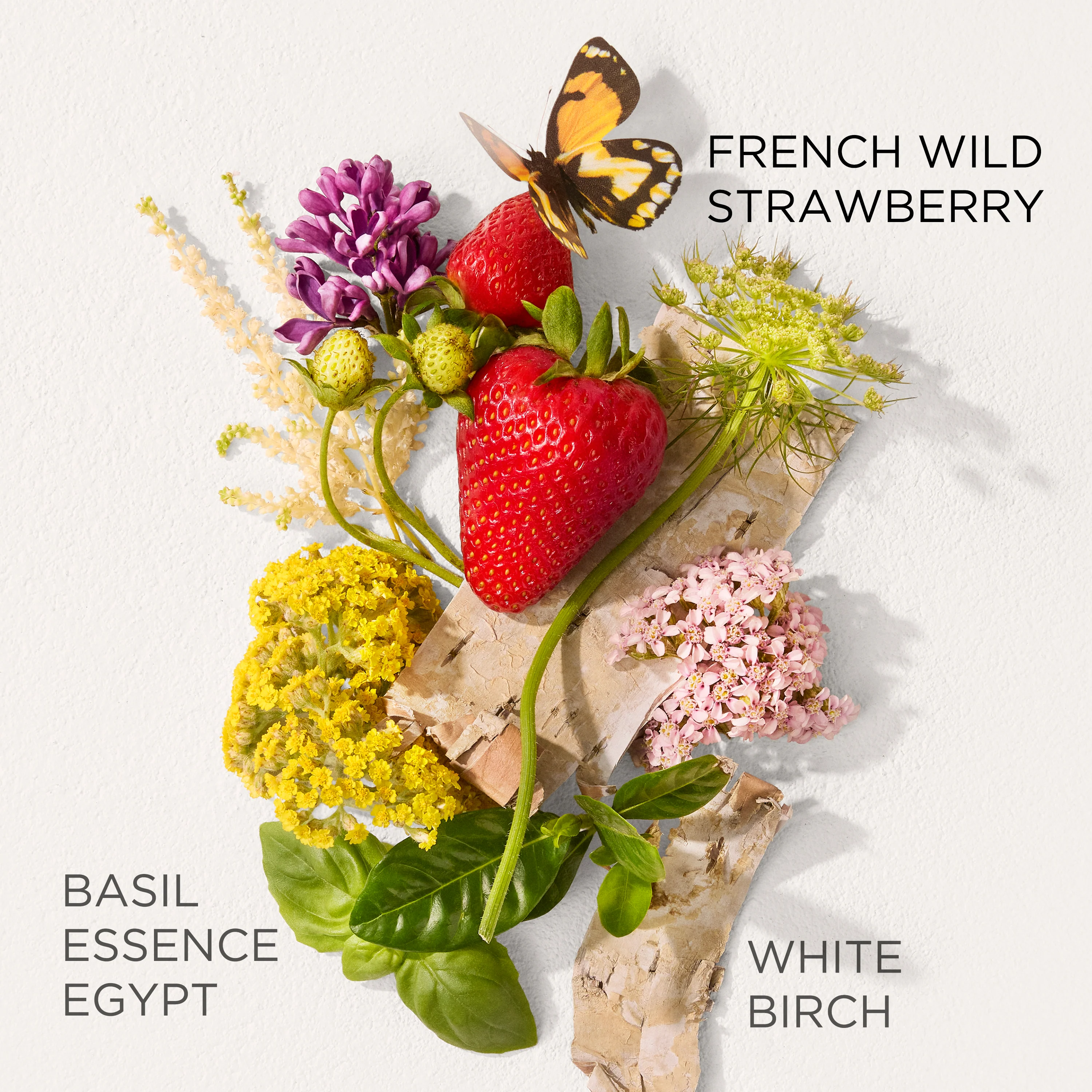 Green Tea Strawberry Basil Eau de Toilette - Image 7