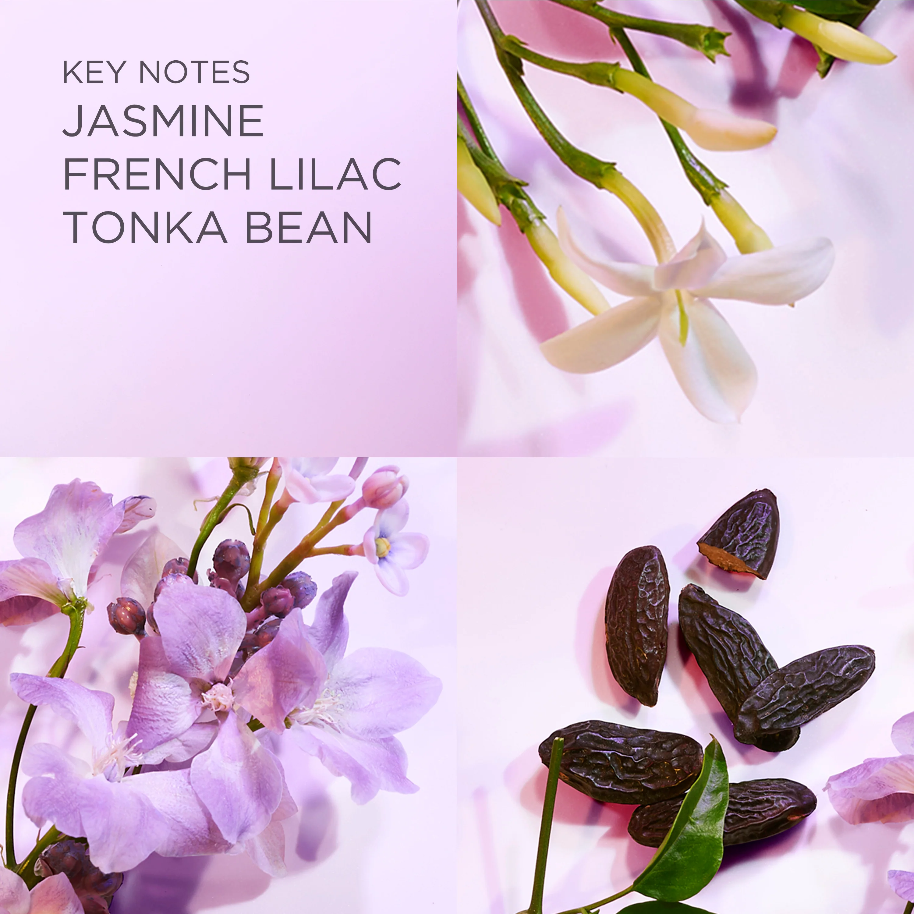 White Tea Eau Lilac Eau de Toilette Spray - Image 11