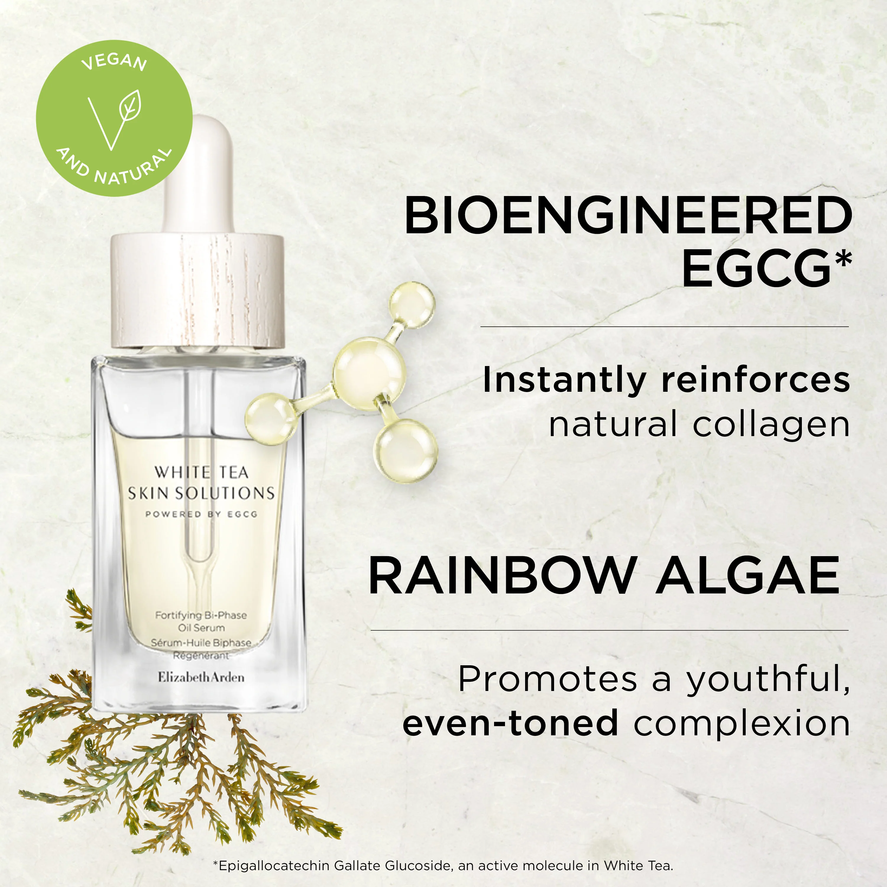 White Tea Skin Solutions Fortifying Bi-Phase Oil Serum - Image 7